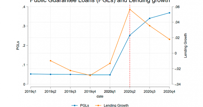 Public-Guarantee-Loads-(PGLs)-and-Lending-Growth